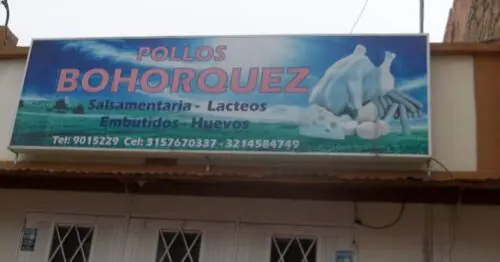 POLLOS BOHORQUEZ POLLOS BOHORQUEZ